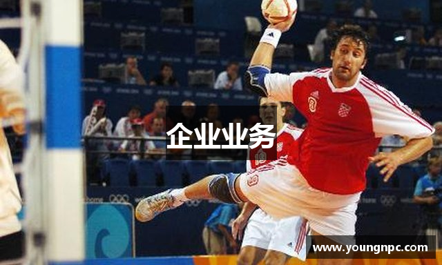 企业业务